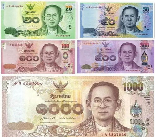 探索ECN数字货币：揭秘Ecoinomic Network的独特魅力与投资潜力