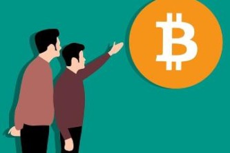 如何确定小狐狸钱包的版本