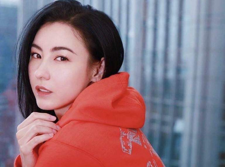 张柏芝的经典表演与观众反响_歌手张伯芝的歌曲_春晚张柏芝