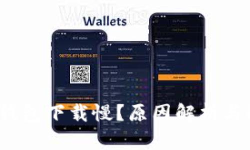 狗狗币钱包下载缓慢原因及解决方法：提升下载速度的实用技巧