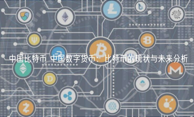 2023年比特币现状与未来展望：价格波动、市场占有率及持币者增加分析