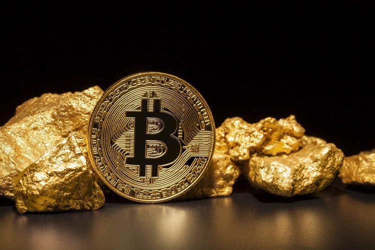 比特币： 数字黄金的崛起_比特现金币最低价格是多少钱_比特崛起币黄金数字是多少