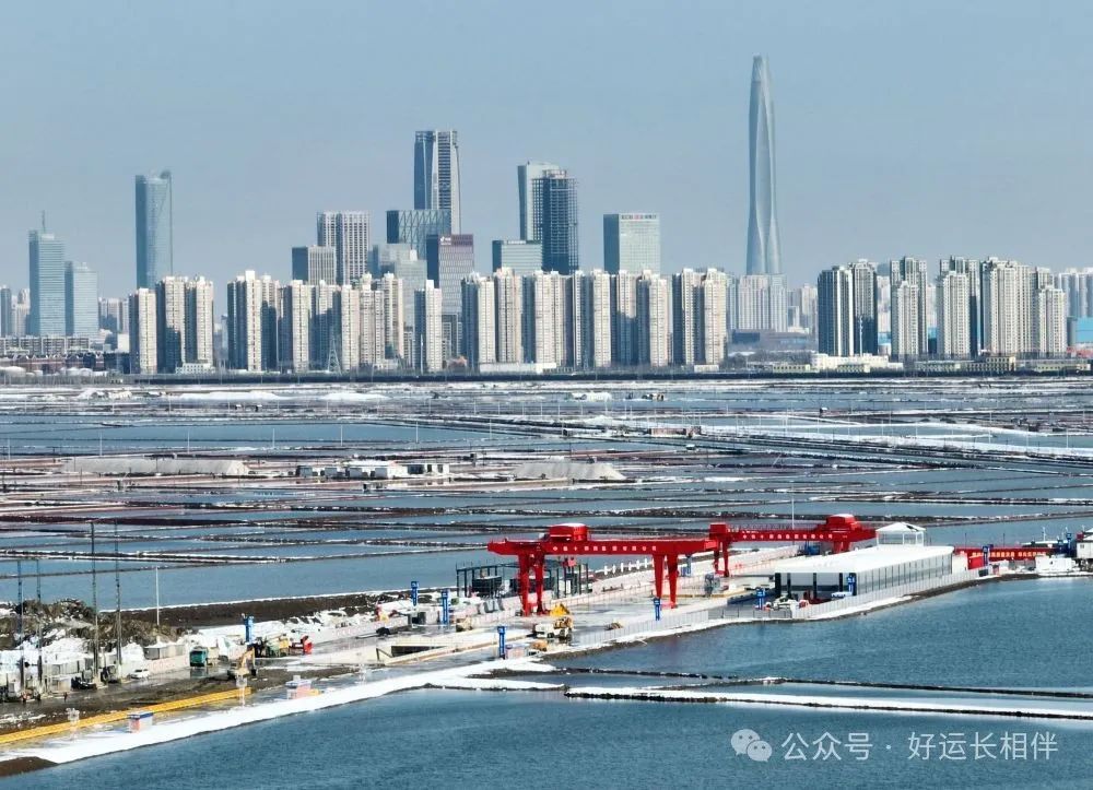 全球主要数字货币的市场表现：从价格波动到交易量的综合分析_数字货币的波动_波动交易系统