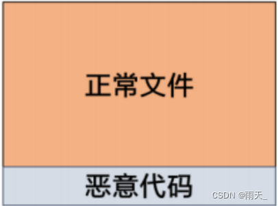 恶意代码分类与病毒传播方式详解：从病毒结构到感染过程全解析