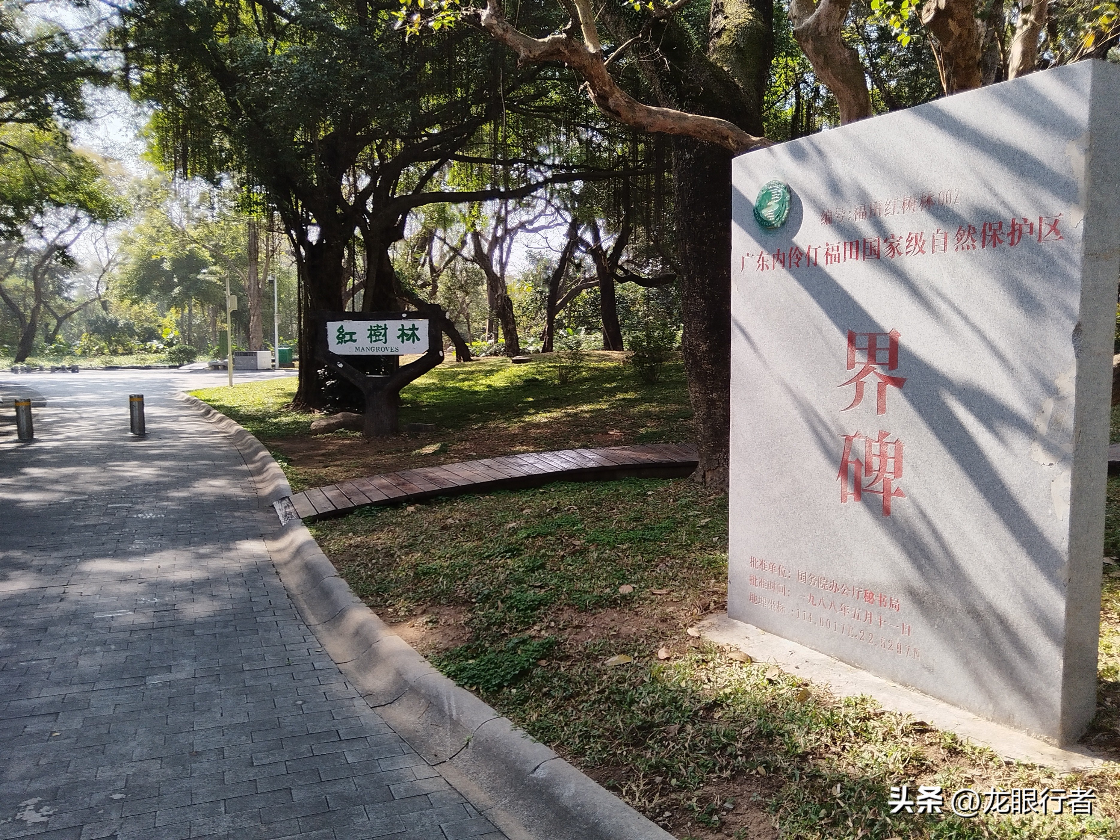 亮点茶楼_亮点_亮点纷呈