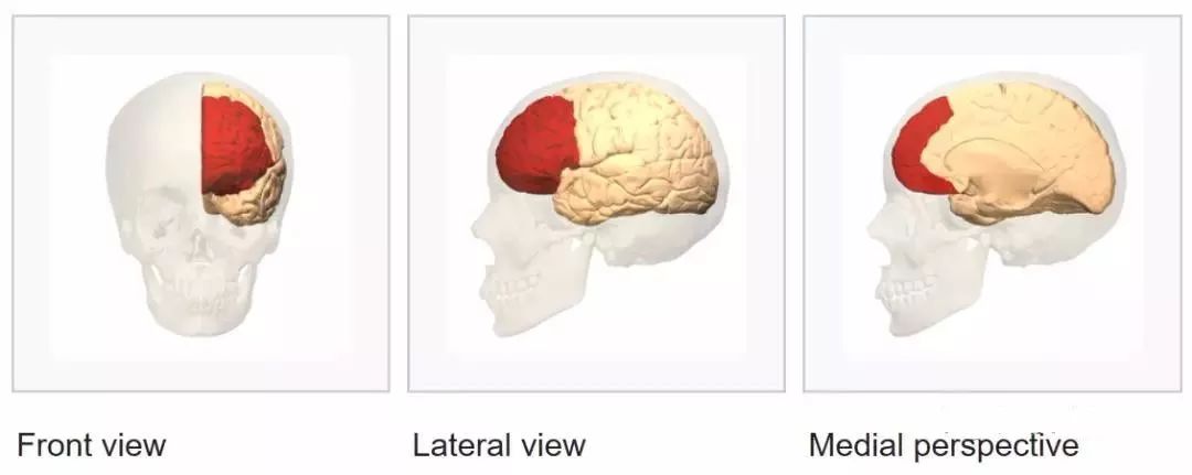 货币策略_货币学理论_选择数字货币的心理学与决策